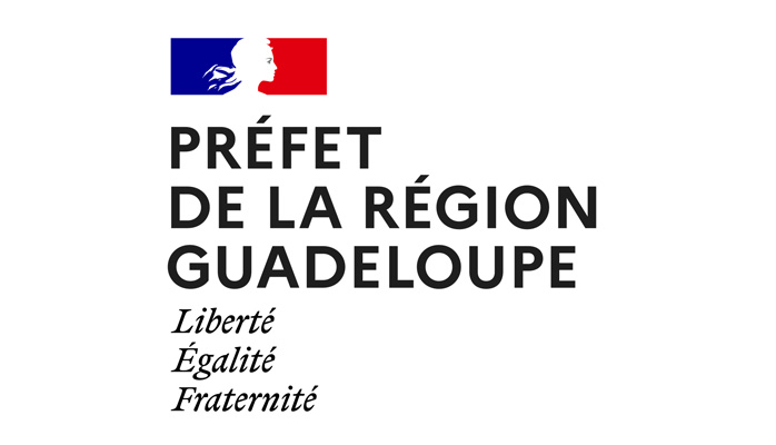 Arrêté préfectoral n 2021-267 CAM/BSI du 12 août 2021 portant restrictions à l'accès aux établissement recevant du public et réglementant les activités et les déplacements en journée dans le département de la Guadeloupe