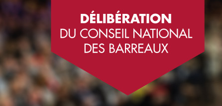 Délibération du CNB adoptée à l'unanimité en réaction au rapport du groupe de travail relatif à la protection des magistrats, remis au garde des Sceaux le 28 juin 2016 