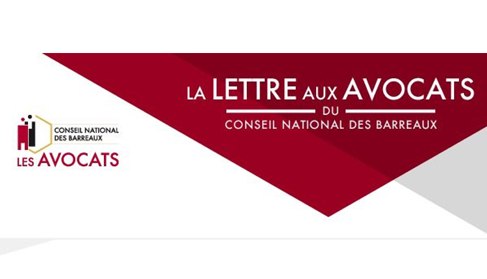 Le Conseil constitutionnel censure l'article 3 de la loi "anti-casseurs" - Crédit photo : © infolettres.cnb.avocat.fr