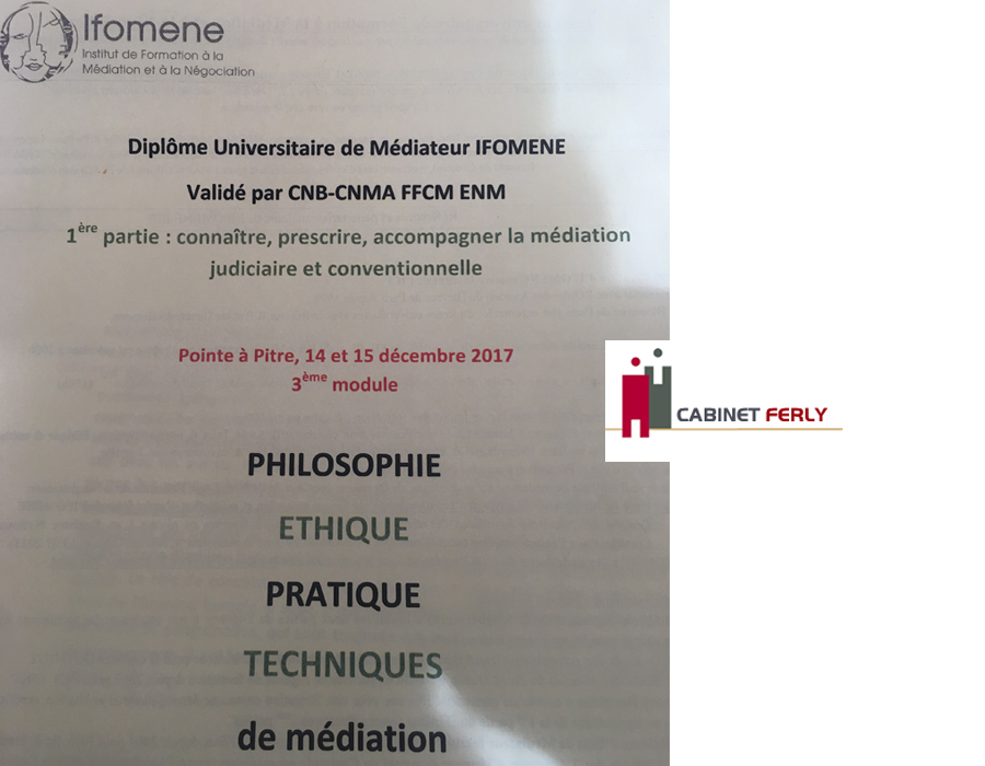 [Mediation] dernière partie du DU1 pendant deux jours. La médiation doit devenir le mode principal de résolution des conflits. 