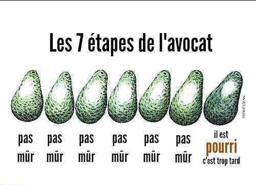 #AvocatGuadeloupe humour de fin de semaine #fatigue !